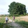 chiens