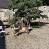 Copie 0 img 8573