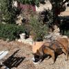 Copie 0 img 8575 2 