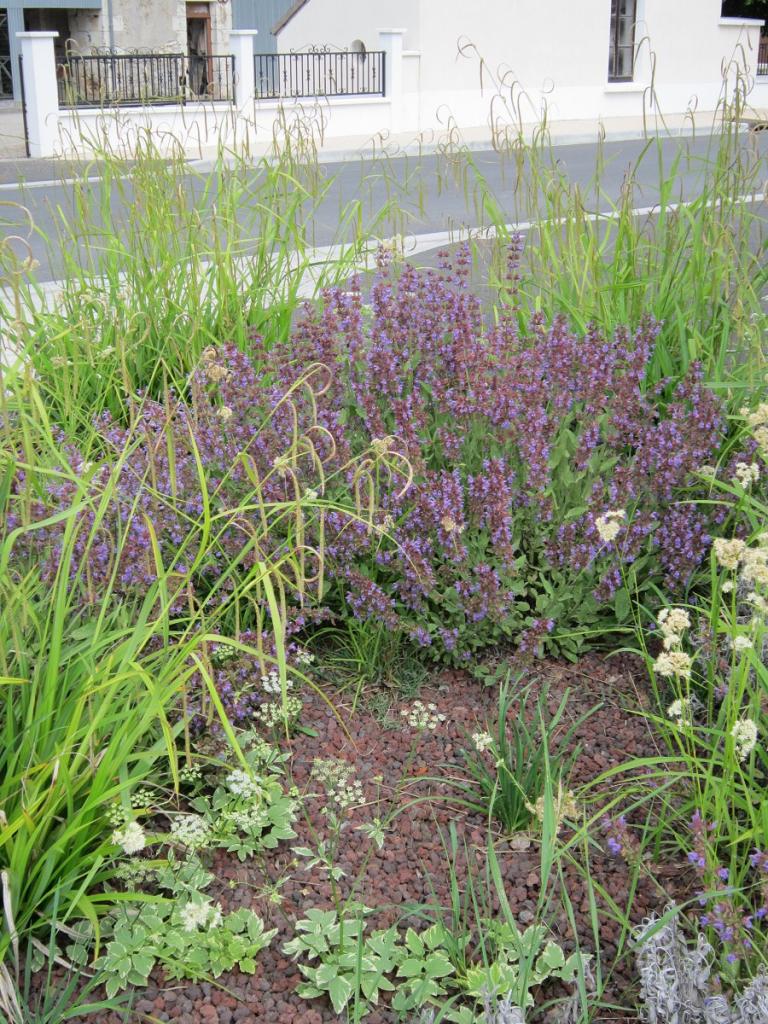 Les fleurs sur la place du village