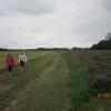 Img 4262