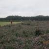 Img 4263