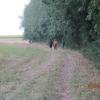 Img 4266