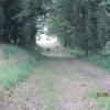 Img 4267
