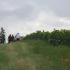 Img 4269