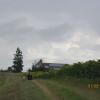 Img 4279