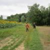 Img 4378