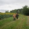 Img 4379