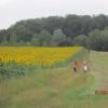 Img 4388