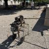 Img 8579