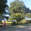 P1040351