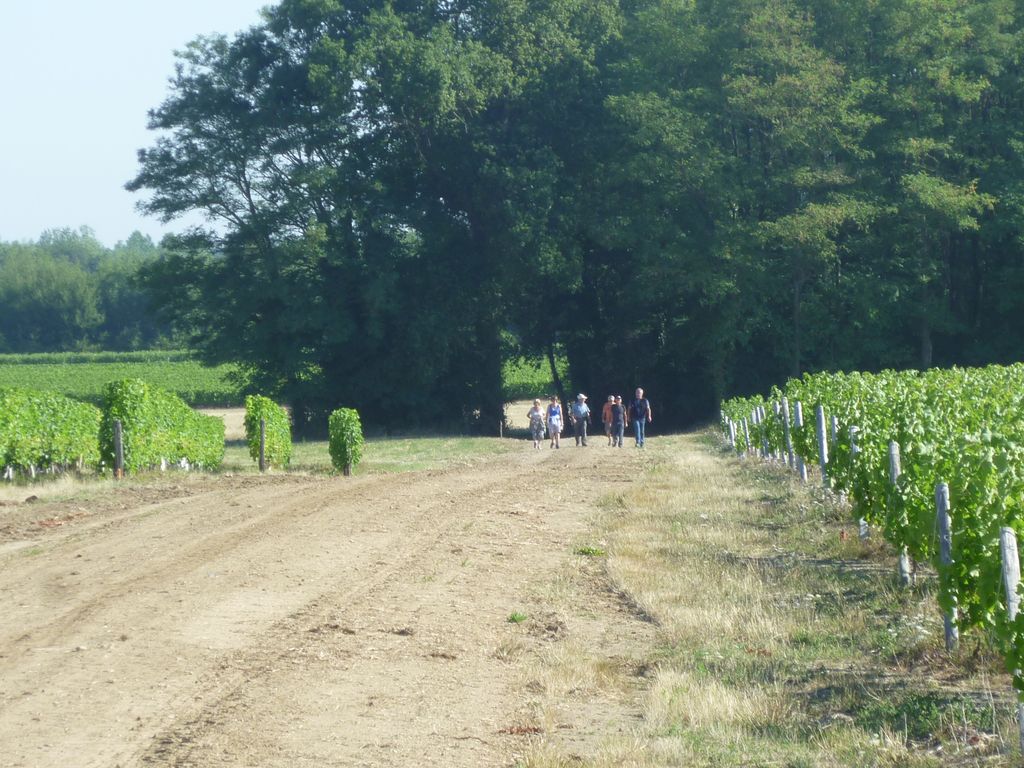 P1040407