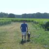 P1040419