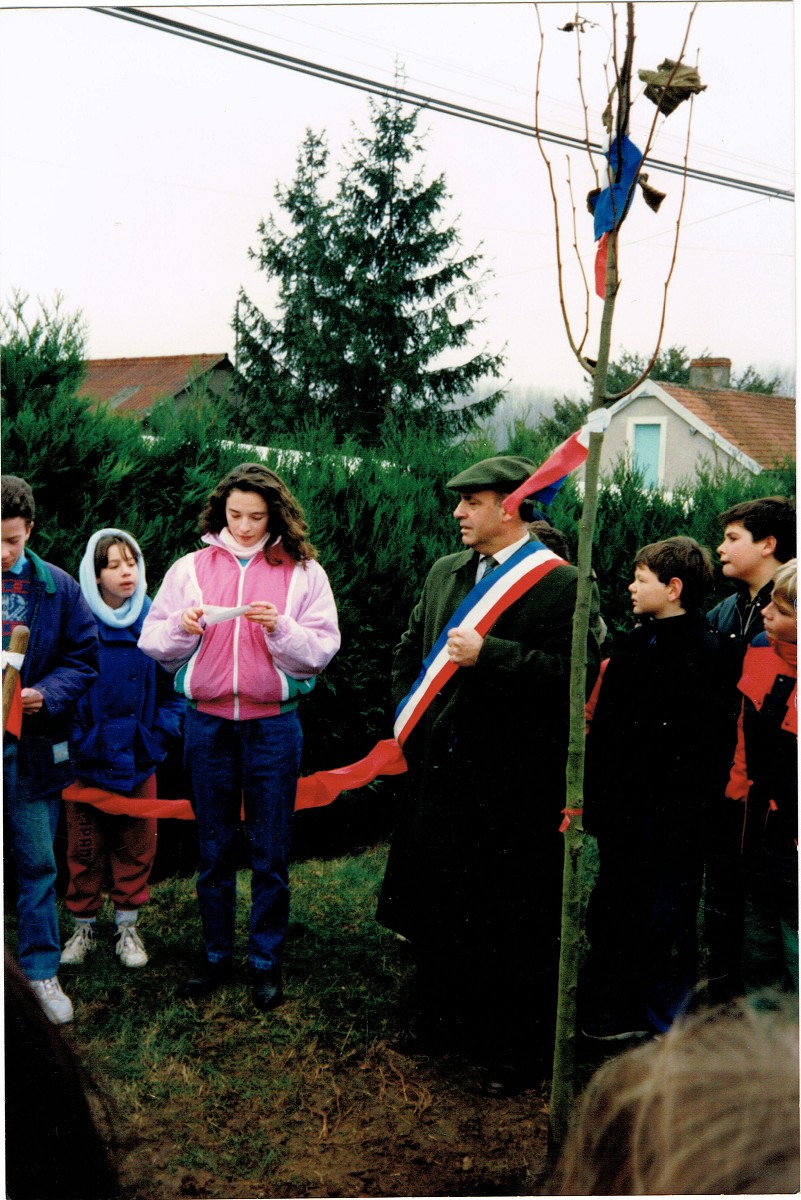 L'arbre de la liberté en 1989